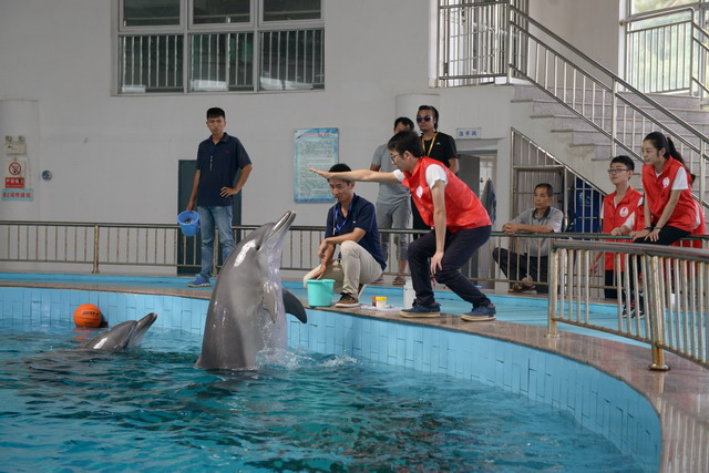 3象嶼集團(tuán)海豚之友志愿者服務(wù)隊(duì)(配新起點(diǎn)4美麗)小.jpg
